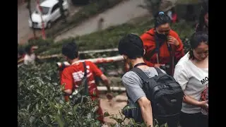 Perkebunan Teh Yang Indah di Blitar | Sirah Kencong