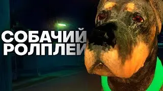 ИГРАЮ СОБАКОЙ В GTA SAMP | TRINITY RP