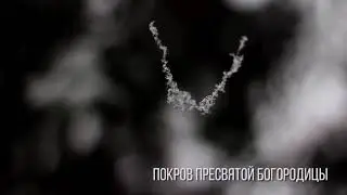 С Покровом Пресвятой Богородицы!