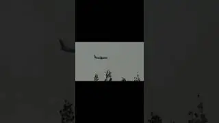 utair 737 800 #shorts