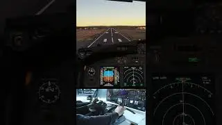 Boeing 737 Landing into Exeter (EGTE) - Microsoft Flight Simlator 2020  #aviation #msfs #boeing737