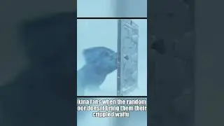 Touhou meme No.35