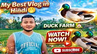 My first Experience about Duck farming 🦆 | Kokrajhar Assam | duck farming in india | Hindi vlog