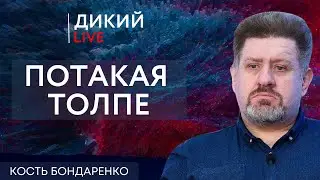 Лебедь, рак и щука или сказ о тотальной деградации. Константин Бондаренко. Дикий LIVE.