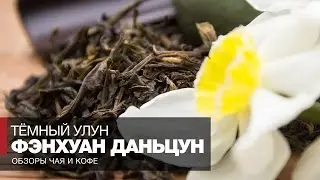 Tea from China reviews // Oolong Feng Huang Dan Cong