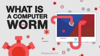 What is a Computer Worm
