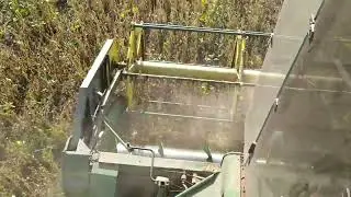 соя ультра рання 2022