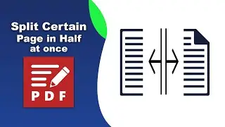 How to split a single page into multiple pages in PDF XChange Editor