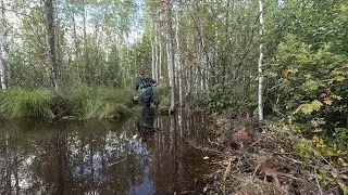 УСТАНОВИЛ КАПКАН НА БОБРА. БЫТ В ЛЕСУ!