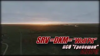 SRV DKM WolfPit PSO