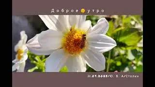 Доброе утро