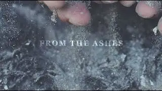 RED - From The Ashes (Official Lyric Video)