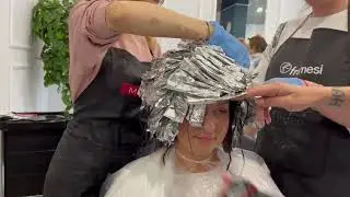 Бровистка