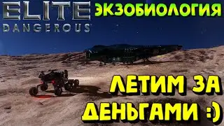 Elite Dangerous - ЗА БАБЛОМ :) #EliteDangerous #EliteDangerousHorizons #EliteDangerousOdyssey