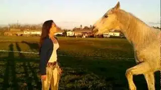 My horse punched me! :o
