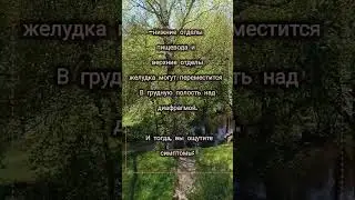 Почему нельзя лежать после еды?#shortsvideo #shorts_ #shortsyoutube