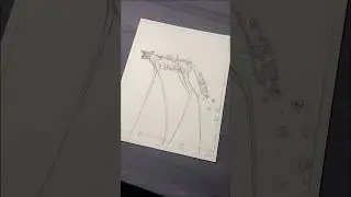 Coyote 🌵 