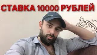 МАРРЕЙ - МЕДВЕДЕВ. СТАВКА 10000 РУБЛЕЙ. МАРРЕЙ МЕДВЕДЕВ ПРОГНОЗ.