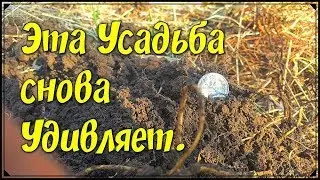 Опять СЕРЕБРО. С Комрадом по Усадьбам. Коп с X-Terra 705.