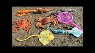 Learn Ocean Animals Names with Toys | تعلم أسماء حيوانات المحيط مع اللعب