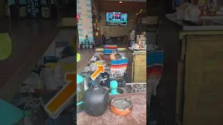Chihuahua running the bar...