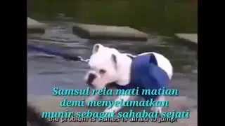 Fidio lucu new :madura kocak