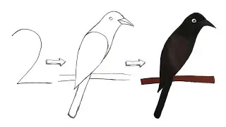 Draw from number 2 How to draw a Bird from 2