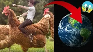 Huge Chicken😱on Google Earth #armkien