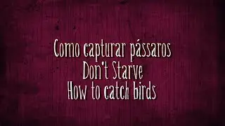 Como pegar pássaros / how to catch a bird - Don't Starve