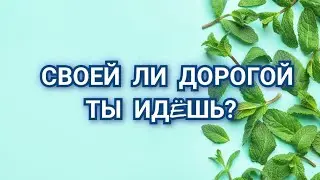 🌿СВОЕЙ ЛИ ДОРОГОЙ ТЫ ИДЕШЬ?🌿 
