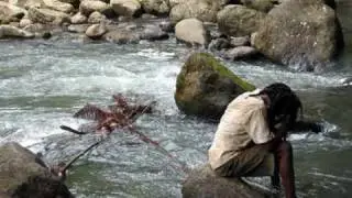 Israel Vibration - Reggae on the river -- Live