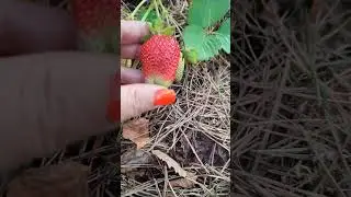 #азия