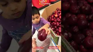 Apples | Counting | Numbers | Educational Videos for Kids