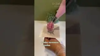 https://t.me/ir_zefir обучение зефирной флористике) 89286636261