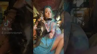 kitty phone