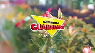 Rosa do Deserto aqui no Guanabara!