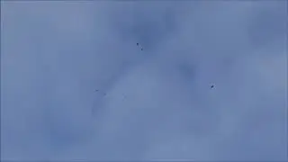 Мой фильм  ВЕСНА  УТРО