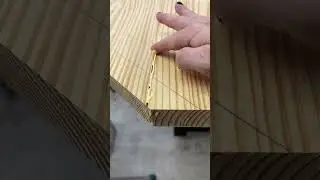 Woodworking trick. How to fill a gap in wood. 