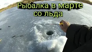 Рыбалка в марте со льда. Зимняя рыбалка.