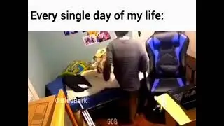 todos os dias da minha vida