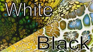# 39 - Black or White?  Which is your favorite fluid painting?  You won't believe your eyes!