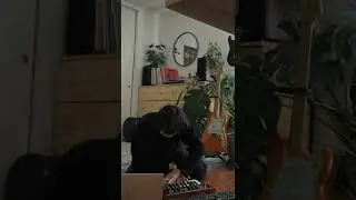 noodle session