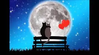 Silbermond - Bis der Himmel uns bestellt