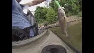 Cumberland River Kayak Fishing - Drum on Crankbait