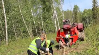 Механизированная посадка деревьев