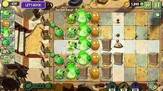 Playing Plants 🆚 Zombies