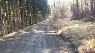 In the woods (Tripaloski style)