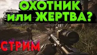 Arena Breakout: Infinite - КТО ТЫ ВОИН? ОХОТНИК или ЖЕРТВА ( Twitch - darkveyd ) арена брекаут стрим