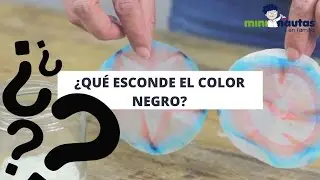 Vídeo - Black is black - mini-nautas - Experimentos de ciencia para niños