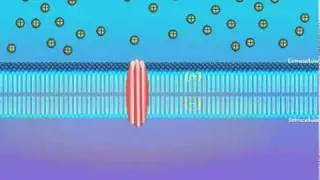 3. Channel Response (German Narration).wmv